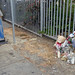 Jessie Wiley Photo 9