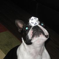 Junior Galloway Photo 9