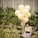 Melissa Redding Photo 19