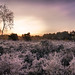 Dawn Heath Photo 17