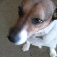 Ginger Clements Photo 2