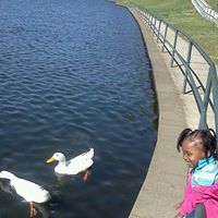 Michelle Ford Photo 45