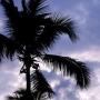 Vinu Abraham Photo 7