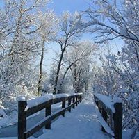 Debbie Nobles Photo 10
