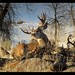 Douglas Sager Photo 12