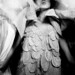 Jay Simson Photo 8