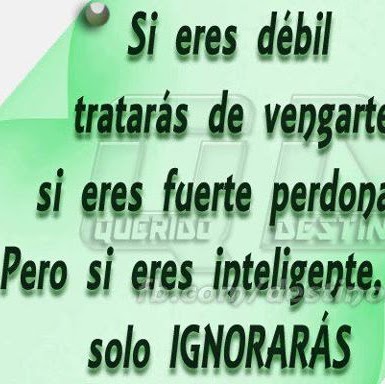 Isamar Delgado Photo 11