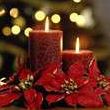 Michelle Genovese Photo 8