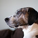 Darla Sharp Photo 4