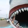 Lisa Whited Photo 35