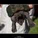 Danny Conners Photo 11
