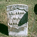 Maryann Jones Photo 16