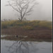 Barry Marsh Photo 19