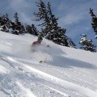Marshall Steves Photo 7