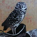 Theresa Oliver Photo 7