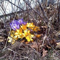 Renae Hardy Photo 10