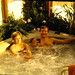 Brenda Fortner Photo 12