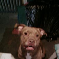 Billy Snyder Photo 41
