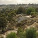 Terry Hunter Photo 15