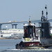 Christopher Rayburn Photo 19