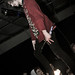 Mark Fowler Photo 31