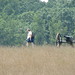 Karen Battle Photo 12