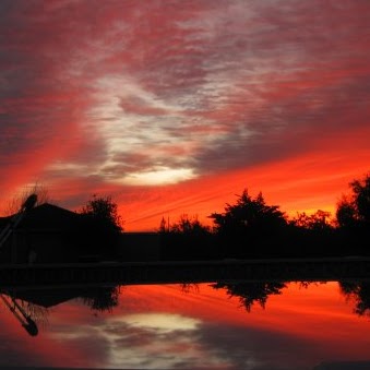 David Logsdon Photo 11