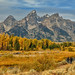 Jason Clow Photo 26