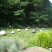 Carolyn Park Photo 15