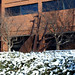 Ernest Bush Photo 15
