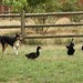 Joyce Berk Photo 6