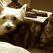 Roy Kirby Photo 12