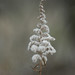 Glen Thompson Photo 37