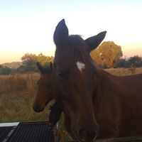 Debra Higham Photo 7