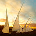 Paul Burns Photo 31