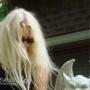 Diana Barron Photo 28
