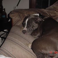 Thomas Biddle Photo 6