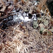 Crystal Bowman Photo 31