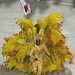 E R Photo 16