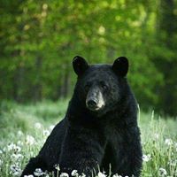 Beth Robbins Photo 46
