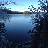 Colleen Currie Photo 21
