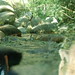 Sean Knudsen Photo 12