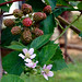 Randy Berry Photo 32