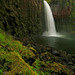 Randall Wade Photo 22