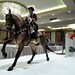 Deborah Griffin Photo 16