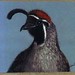 Marlene Bird Photo 18
