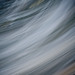 Forrest Guthrie Photo 6
