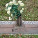 Bruce Livingston Photo 16