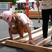 Lisa Strickland Photo 25