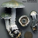 Roland Lange Photo 27